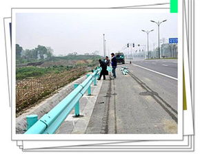 护栏板双波绿色公路护栏板高速公路护栏板供应商